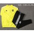 Sport Club Internacional Yellow Men's Football Jacket Soccer Tracksuit 2021-2022