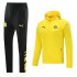 Borussia Dortmund Yellow Soccer Windbreaker Men's Football Tracksuit 2021-2022