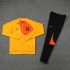Netherlands Soccer Jacket Men's Yellow Football Tracksuit Set 2022-2023