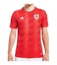 Wales Home Soccer Jerseys Men's Football Shirts Uniforms FIFA World Cup Qatar 2022