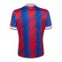 Crystal Palace Home Soccer Jerseys Men's Football Shirts Uniforms 2022-2023